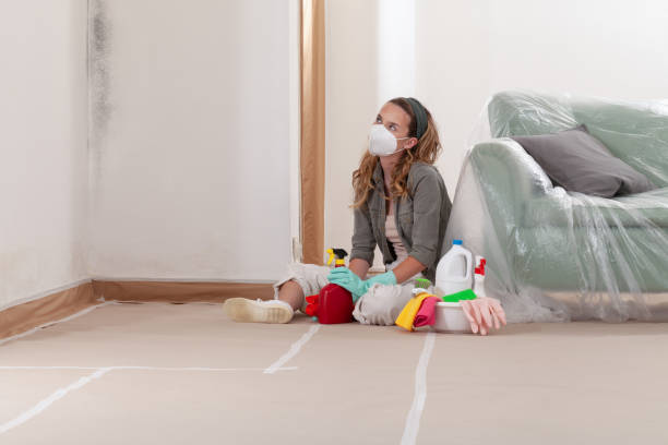 Reliable Mold Remediation contractor in Trappe, MD by WQB Mold Removal